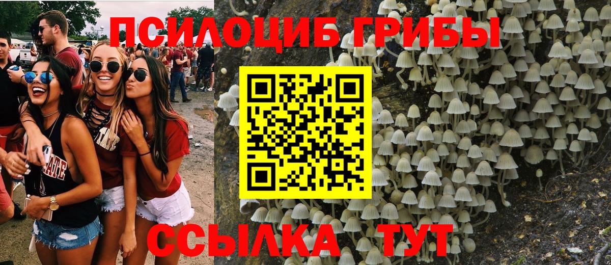 Галлюциногенные грибы мухоморы  Вход с VPN  закладки  Псилоцибиновые грибы ЛСД  Каспийск 