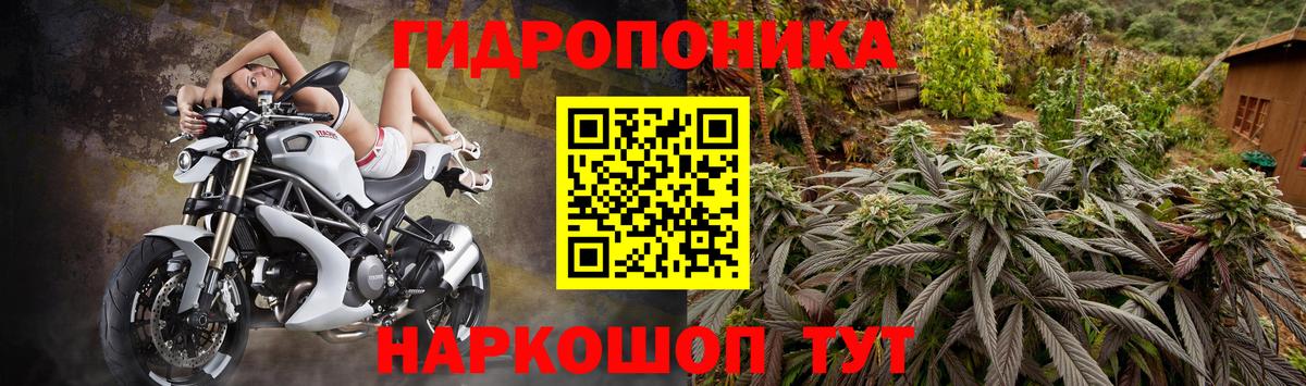 Бошки марихуана Amnesia Каспийск